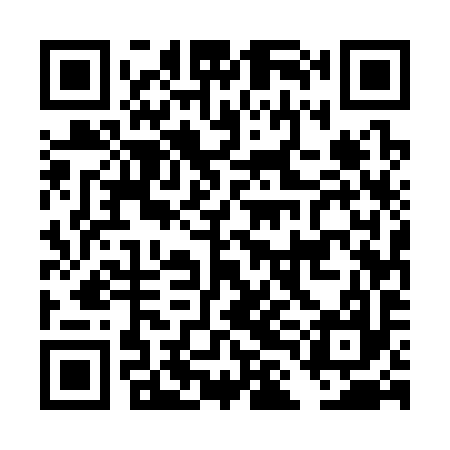 QR code for DLE397