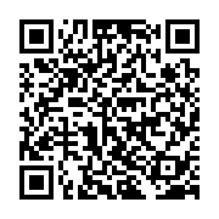 QR code for DLG339