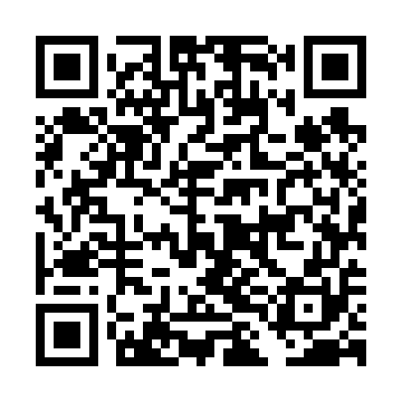 QR code for DLM650