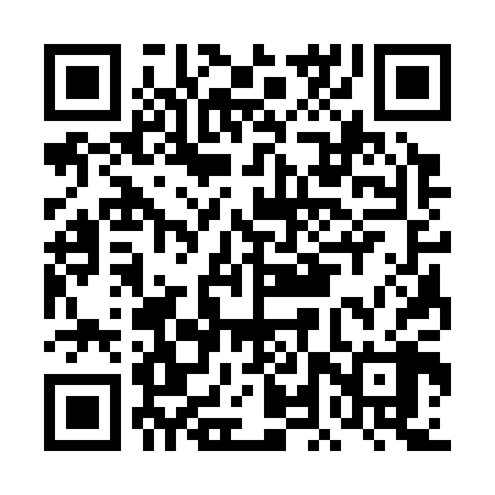 QR code for DLS308