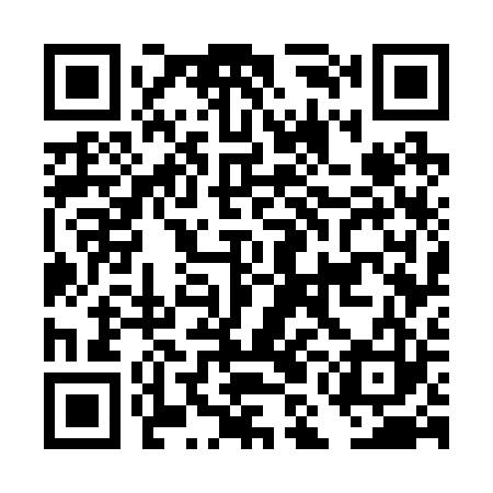 QR code for DMG223