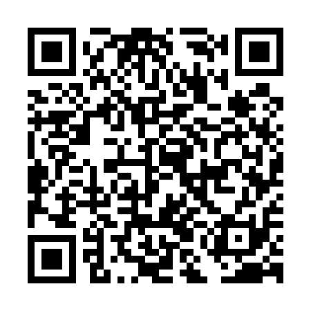 QR code for DMG511