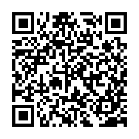 QR code for DMI384