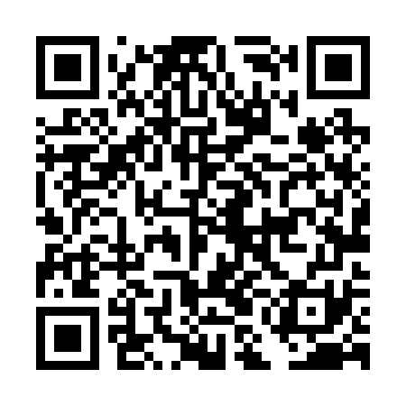 QR code for DML271