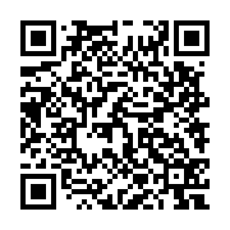 QR code for DMN536