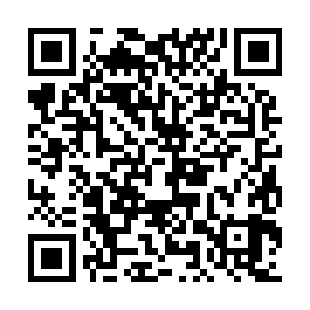 QR code for DMS989