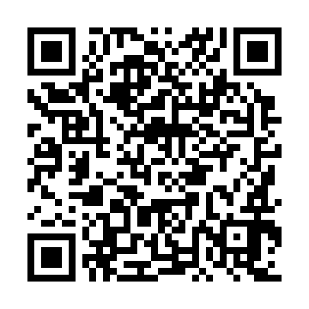 QR code for DNH392