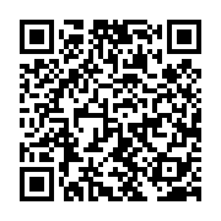 QR code for DNT479