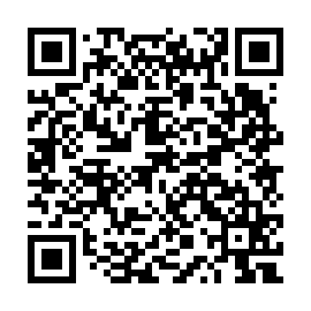 QR code for DPP665
