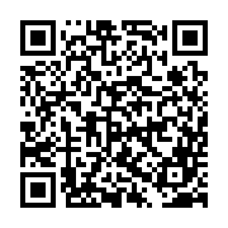 QR code for DPQ346