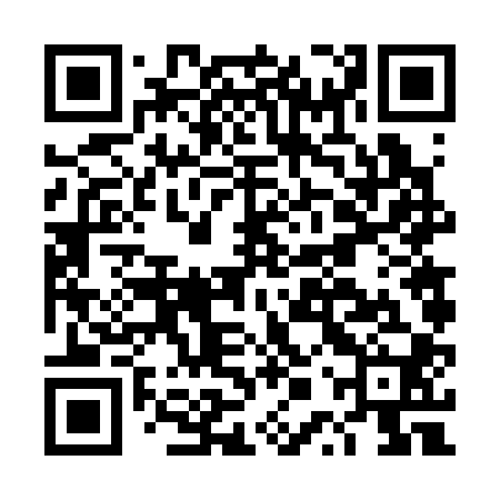 QR code for DPV300