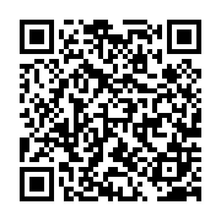 QR code for DQL002