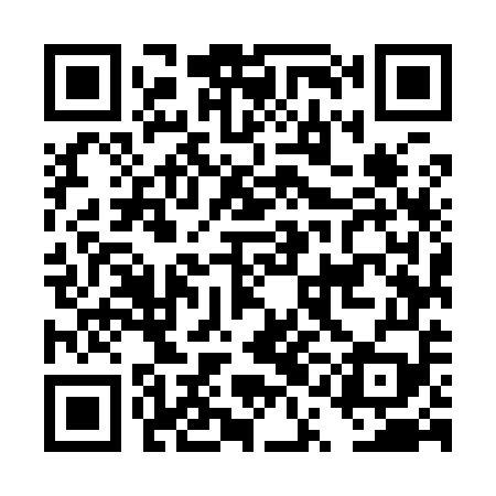 QR code for DQM959