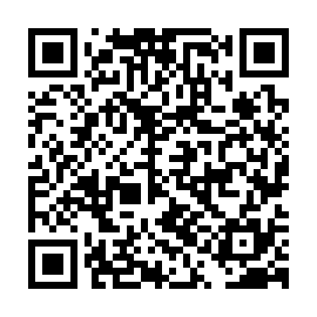QR code for DQN335