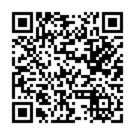 QR code for DSF114