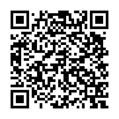 QR code for DSG475