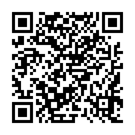 QR code for DSI454