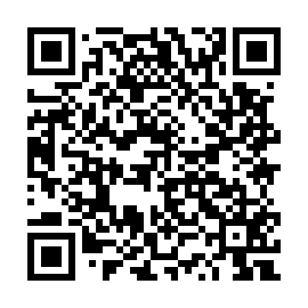 QR code for DSI555