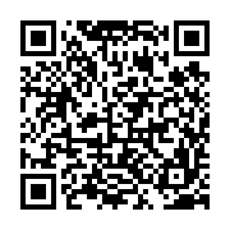QR code for DSI696