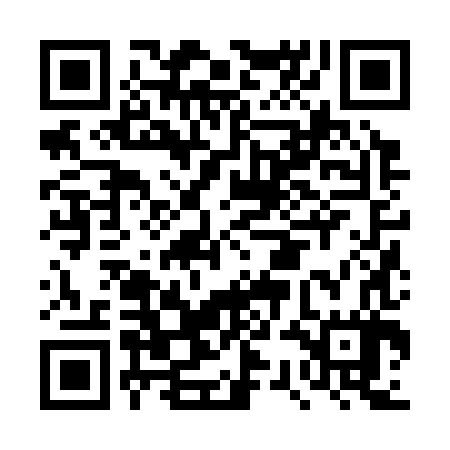 QR code for DSJ387