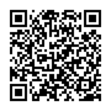 QR code for DSK411