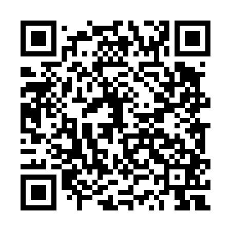 QR code for DSL441