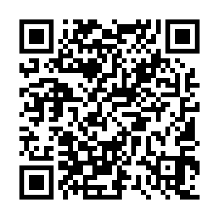 QR code for DSM011