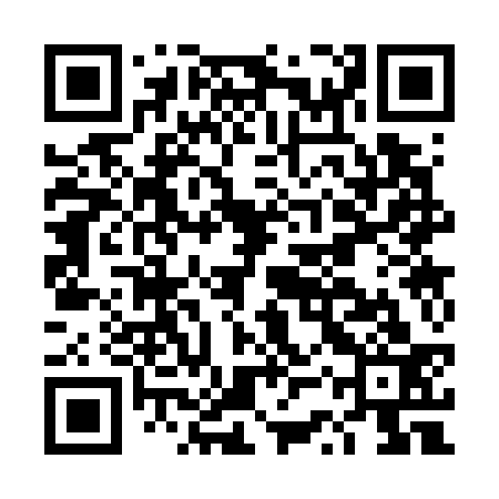 QR code for DSS733