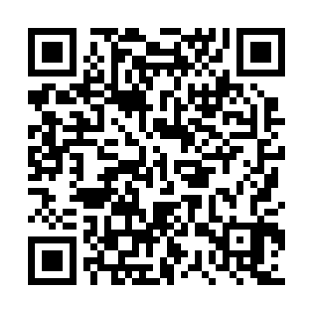 QR code for DSX203