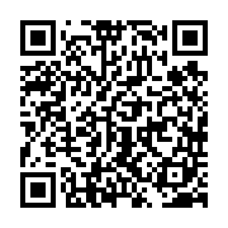 QR code for DSX641