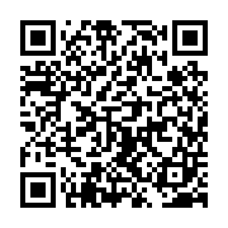 QR code for DSY203