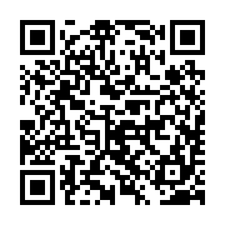 QR code for DVR294