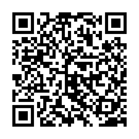 QR code for DVS229