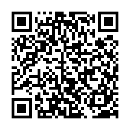 QR code for DWI527