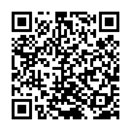 QR code for DXL499