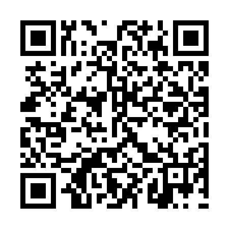 QR code for DXT236