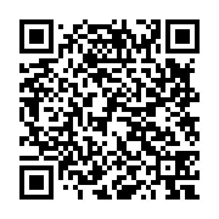 QR code for DYB838