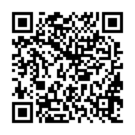 QR code for DYG296
