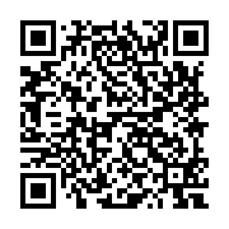 QR code for DYI991
