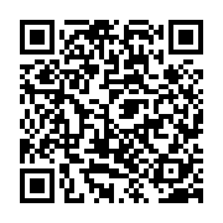 QR code for DYN828
