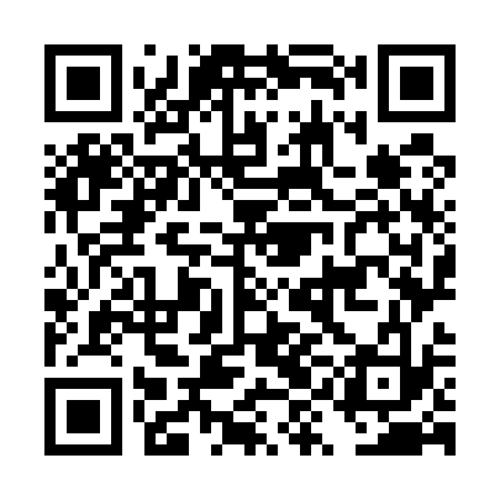 QR code for DYO533