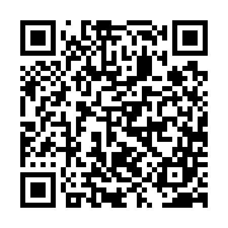 QR code for DYT747