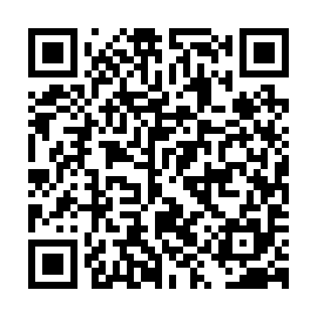QR code for DYU295