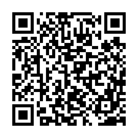 QR code for DYX656