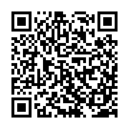QR code for DZB207