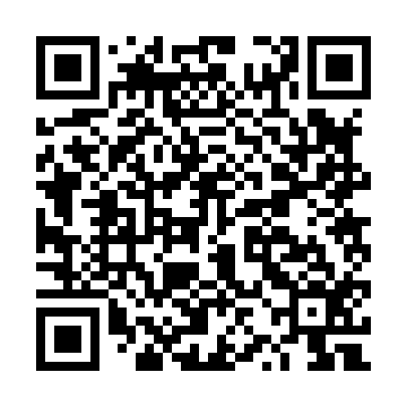 QR code for DZB816
