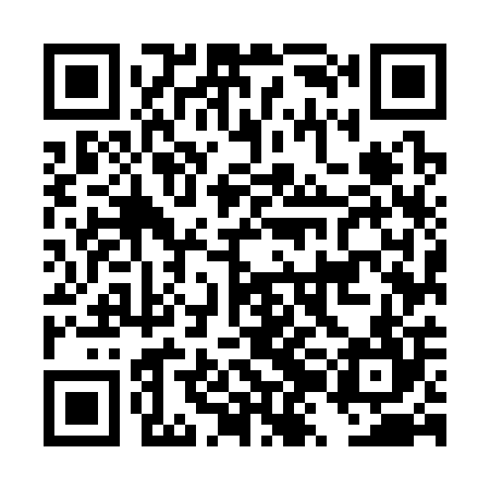 QR code for DZM304