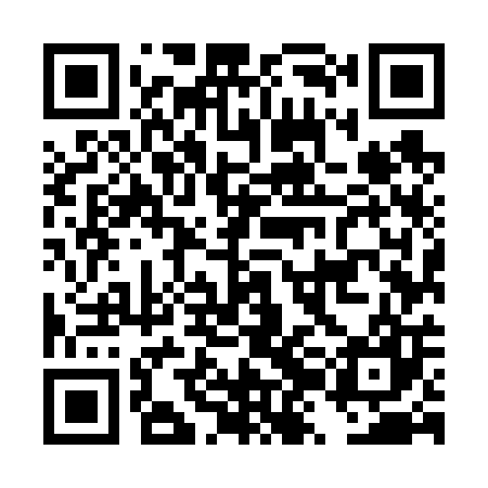 QR code for DZM607