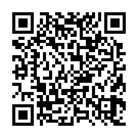 QR code for DZS369