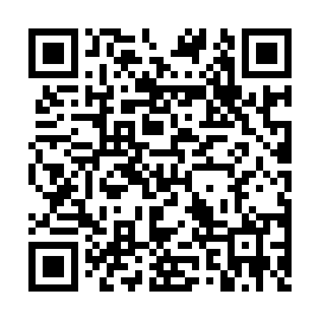 QR code for DZT950